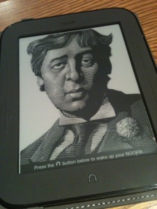 Nook E-Reader. Photo by Endpaper Review.